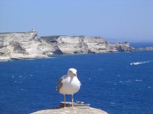 Cliquez pour agrandir la photo